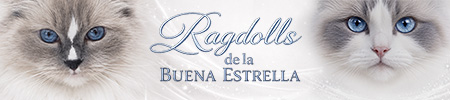 Logo Buena Estrella